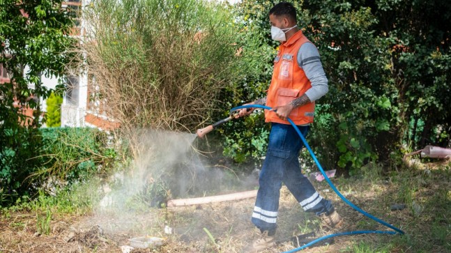 GÜZELÇAMLI’DAN KUŞTUR’A KIYI ŞERİDİNDE YOĞUN MESAİ