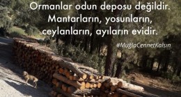 Muğla Çevre Platformundan Sert Tepki