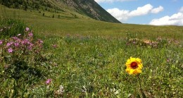 Kentten kıra göç başladı