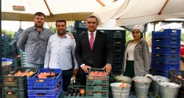KUŞADASI’NDA ŞEFTALİ HASADI