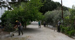 BAŞKAN ÖMER GÜNEL TALİMAT VERDİ DAVUTLAR VE GÜZELÇAMLI MAHALLELERİNDE TEMİZLİK VE BAKIM SEFERBERLİĞİ BAŞLATILDI