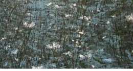 Ressam İrfan Okan’nın “Nefes” Adlı Sergisi Ada Modern Sanat Galerisi’nde açılıyor