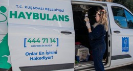 HAYBULANS ARAÇLARI SAYESİNDE 78 BİN CAN DOST HAYATA TUTUNDU