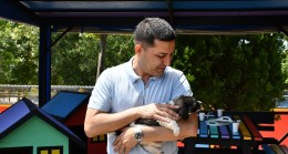 HAYVANSEVER BAŞKAN ÖMER GÜNEL’DEN KANUN TEKLİFİNE SERT TEPKİ  “HİÇBİR CANLININ YAŞAM HAKKI GASP EDİLEMEZ”