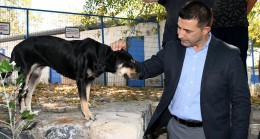 BAŞKAN ÖMER GÜNEL:  “ŞARTLAR NE OLURSA OLSUN CAN DOSTLARIMIZI YAŞATACAĞIZ”