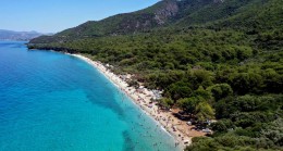 MİLLİ PARKLARDA SON 10 YILIN REKORU KIRILDI