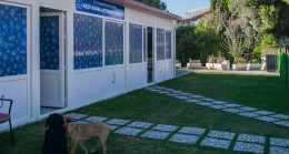 DAVUTLAR MAHALLESİ’NE KEDİ KISIRLAŞTIRMA MERKEZİ AÇILIYOR