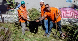 KADINLAR DENİZİ SAHİL ŞERİDİNE YENİ PEYZAJ DÜZENLEMESİ