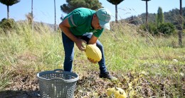 ADABAHÇE’NİN BEREKETİ BU YAZ DA KUŞADALILARIN SOFRALARINI LEZZETLENDİRDİ