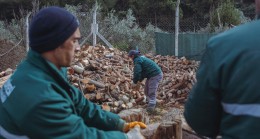 KUŞADASI’NDA AĞAÇ ATIKLARI İHTİYAÇ SAHİPLERİ İÇİN KARA KIŞTA YAKACAĞA DÖNÜŞÜYOR
