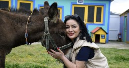 KUŞADASI EVCİL HAYVAN BAKIM VE REHABİLİTASYON MERKEZİNİN MASKOTU ‘FISTIK’