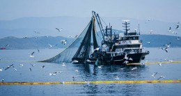 DENİZLERDE AV YASAĞI BAŞLIYOR