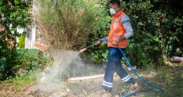 GÜZELÇAMLI’DAN KUŞTUR’A KIYI ŞERİDİNDE YOĞUN MESAİ