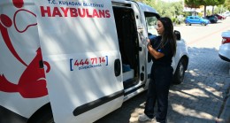KUŞADASI’NDA CAN DOSTLARIN HAYATI HAYBULANSA EMANET