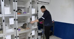 KUŞADASI’NDA PATİLİ CAN DOSTLARIN SAĞLIĞI EMİN ELLERDE