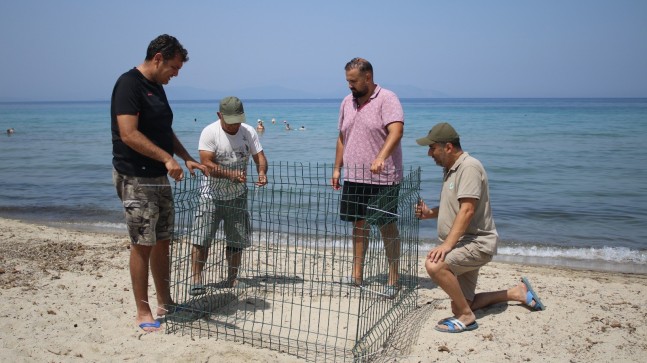 KUŞADASI’NIN TERTEMİZ PLAJLARI CARETTA CARETTALARIN YUVA ALANI OLDU