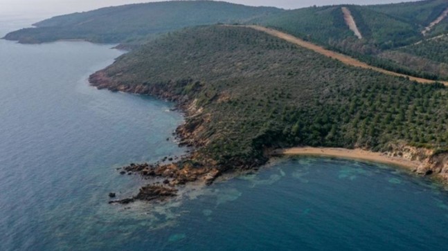ORMANLARIN DENİZ KENARLARI TURİZME AÇILIYOR