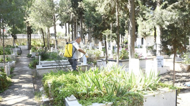 ASYA KAPLAN SİVRİSİNEĞİNE KARŞI MEZARLIKLARDA ETKİLİ MÜCADELE