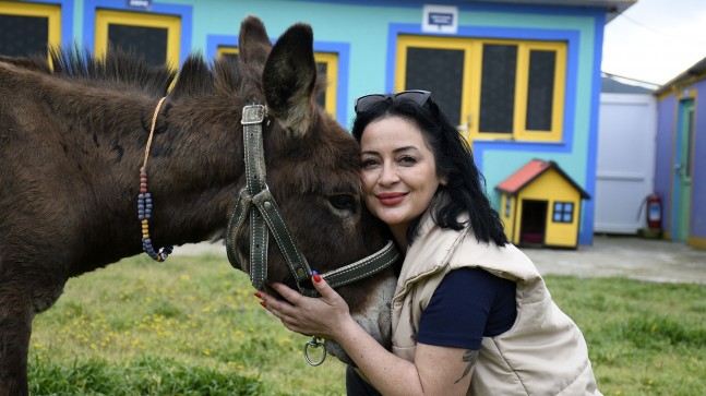 KUŞADASI EVCİL HAYVAN BAKIM VE REHABİLİTASYON MERKEZİNİN MASKOTU ‘FISTIK’