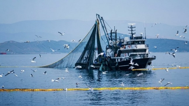 DENİZLERDE AV YASAĞI BAŞLIYOR