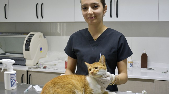 KUŞADASI BELEDİYESİ DAVUTLAR KEDİ KISIRLAŞTIRMA MERKEZİ BİNLERCE CANA UMUT OLDU