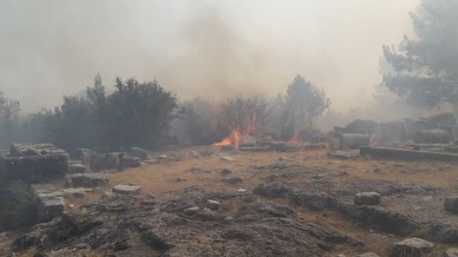 Dünyaca ünlü Priene Antik kent yangından zarar gördü