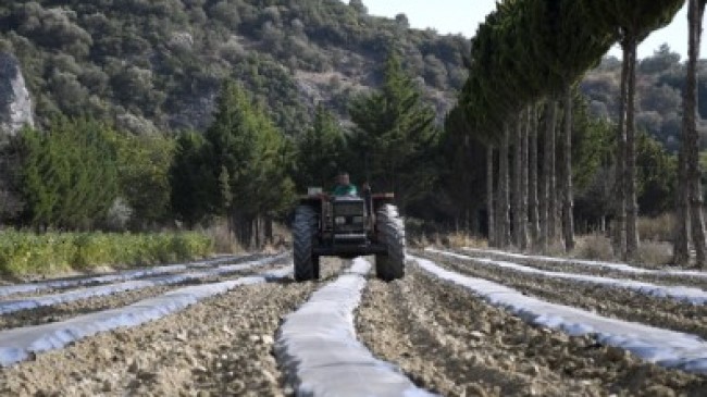 ADABAHÇE’DE KIŞ HAZIRLIKLARI BAŞLADI