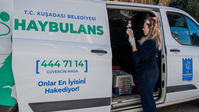 HAYBULANS ARAÇLARI SAYESİNDE 78 BİN CAN DOST HAYATA TUTUNDU