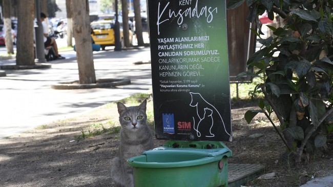 KUŞADASI’NDA SOKAK HAYVANLARI EMİN ELLERDE