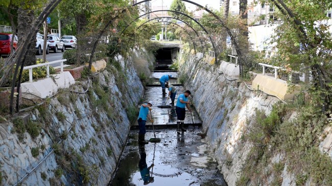 DAMLACIK DERESİ’NDE TEMİZLİK ÇALIŞMALARI BAŞLATILDI