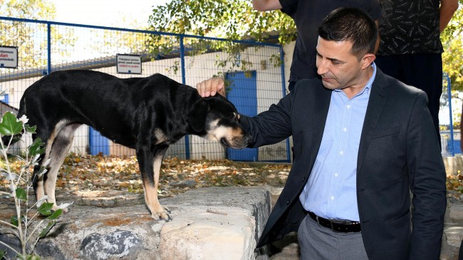 BAŞKAN ÖMER GÜNEL:  “ŞARTLAR NE OLURSA OLSUN CAN DOSTLARIMIZI YAŞATACAĞIZ”