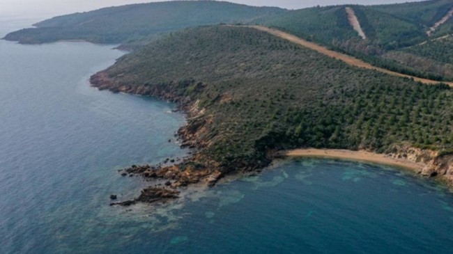 ORMANLARIN DENİZ KENARLARI TURİZME AÇILIYOR