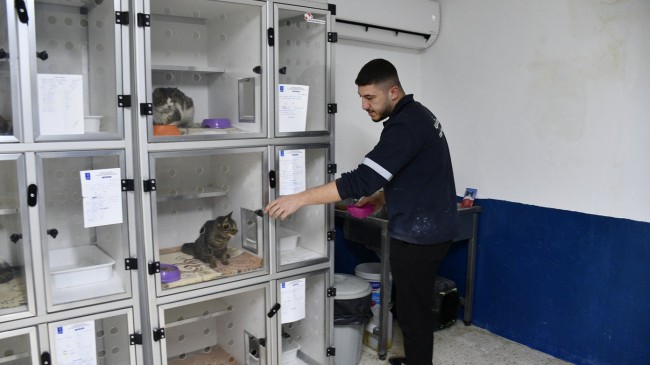 KUŞADASI’NDA PATİLİ CAN DOSTLARIN SAĞLIĞI EMİN ELLERDE